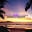 Smoker’s Island Vape Shop Icon