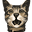 Cats.com Icon