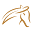 Gallop-Store Icon