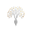 Eternal Perfume Oils Icon