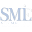 Shervin M. Louie Icon