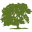 Oakmed Healthcare Icon