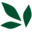 Neighborcare Health Icon