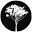 Darwin Health Group Icon