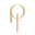 Porterfi Icon