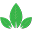 Natural Health Botanicals Icon