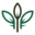 Organic Botanicals USA Icon