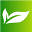 Your Leaf Your Life Icon
