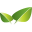 Kraatje.eu Icon