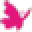 Nature's For You Icon