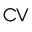 Cassa Vida Icon