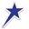 BlueStar Loyalty Icon
