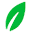 Lifeable Icon