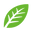 BioKrauter Icon