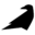Raven Health Icon
