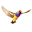 Best Practice Software Icon