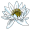The Albanesi Educational Center Icon