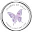 Charms of Light Icon