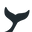 Plakton Icon
