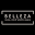 Belleza Salon Icon