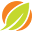 Healthy Planet USA Icon