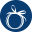 WowWee.ie Icon