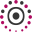 CareNexis Icon