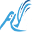 FlyPelican Icon