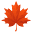 Drone Light Show Canada Icon
