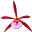 First Rays Icon