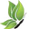 Skin Perfection Natural and Organic Skin Care Icon