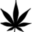 Top Shelf Express Icon