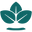 Nature Spell USA Icon