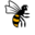 London Wasps Icon