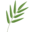 Bamboo Oasis Icon