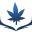 Sky High Exotics Icon