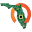 eCycle Florida Icon