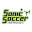Sonic Soccer Icon