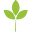A Healthy Leaf Icon