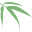 Living Bamboo Icon