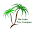 The Palm Tree Company Icon