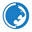 Renzo Gracie Fight Academy Icon