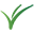 Pine Tea & Coffee Icon