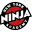 New York Ninja Academy Icon