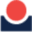 REI Systems Icon