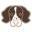Barks & Co Icon