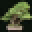 Kaizen Bonsai Icon