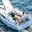 Sailing Islander Icon