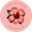 Hibiscus Retail Icon