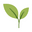 Liv Nature Icon